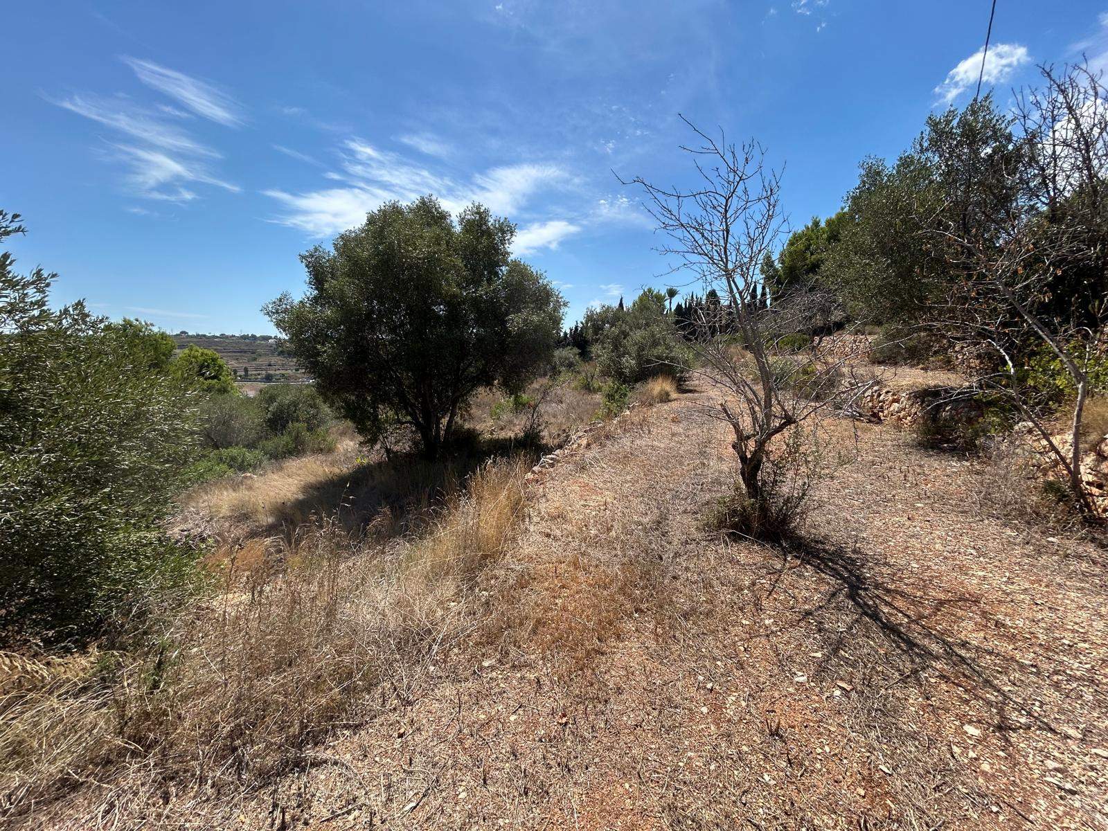 Finca en Benissa