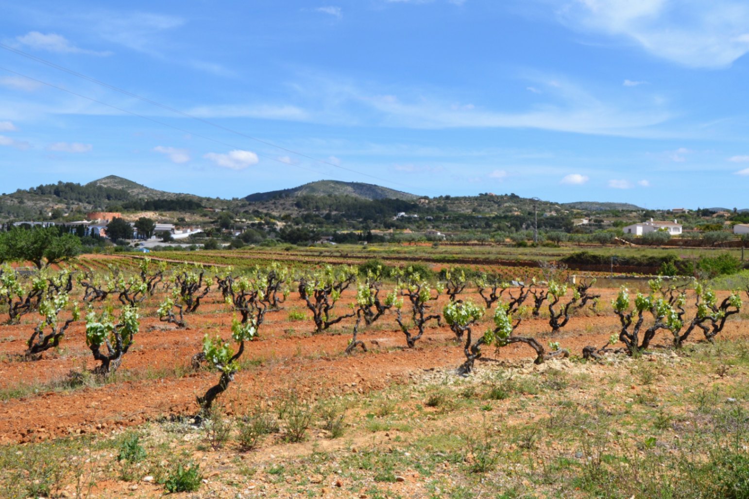 Finca en Benissa