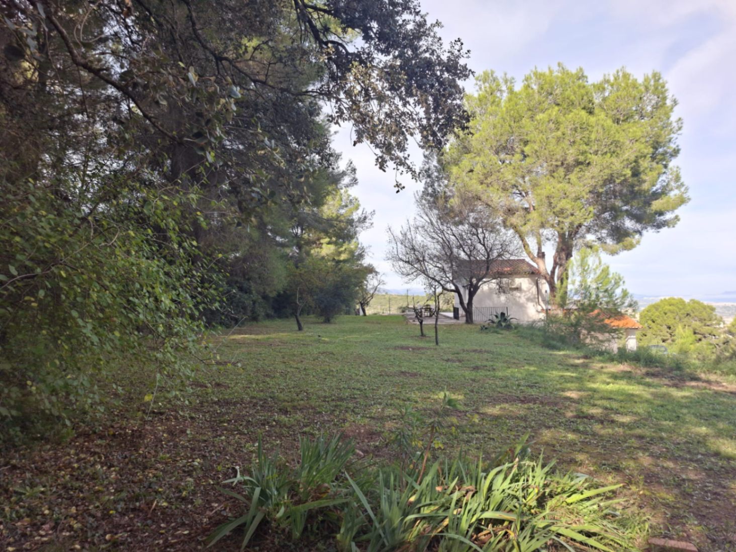 Finca en la montaña con vistas al mar