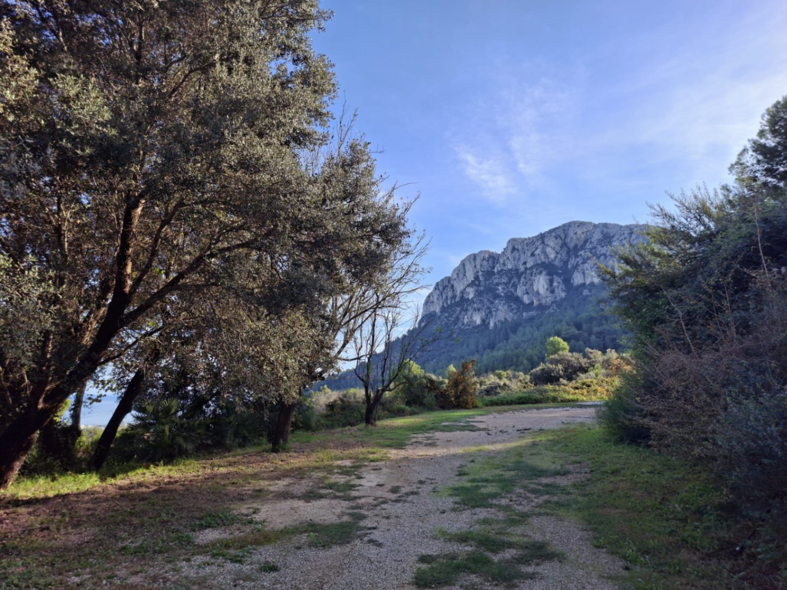 Finca en la montaña con vistas al mar