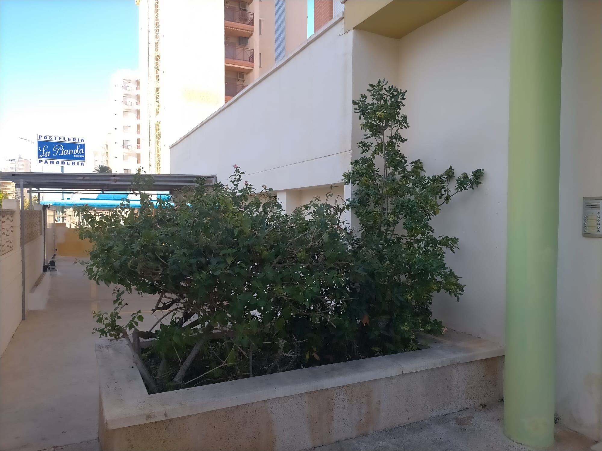 Apartamento seminuevo en el Grao de Gandía