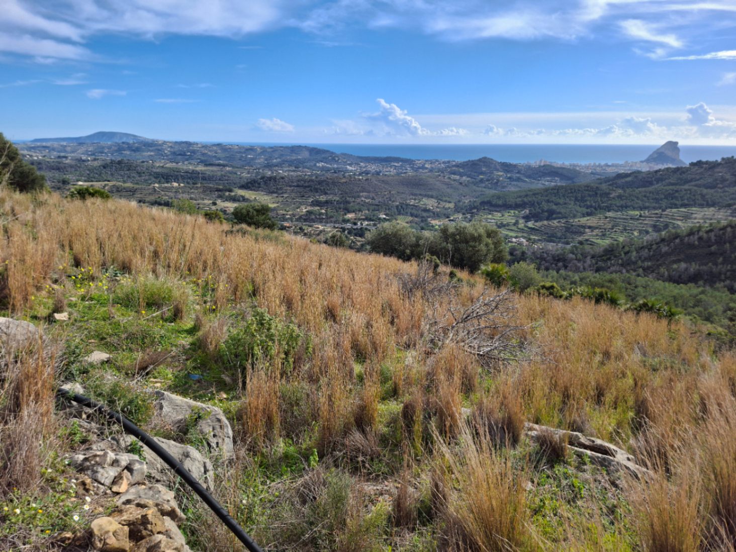 Finca Rústica Centenaria en Benissa