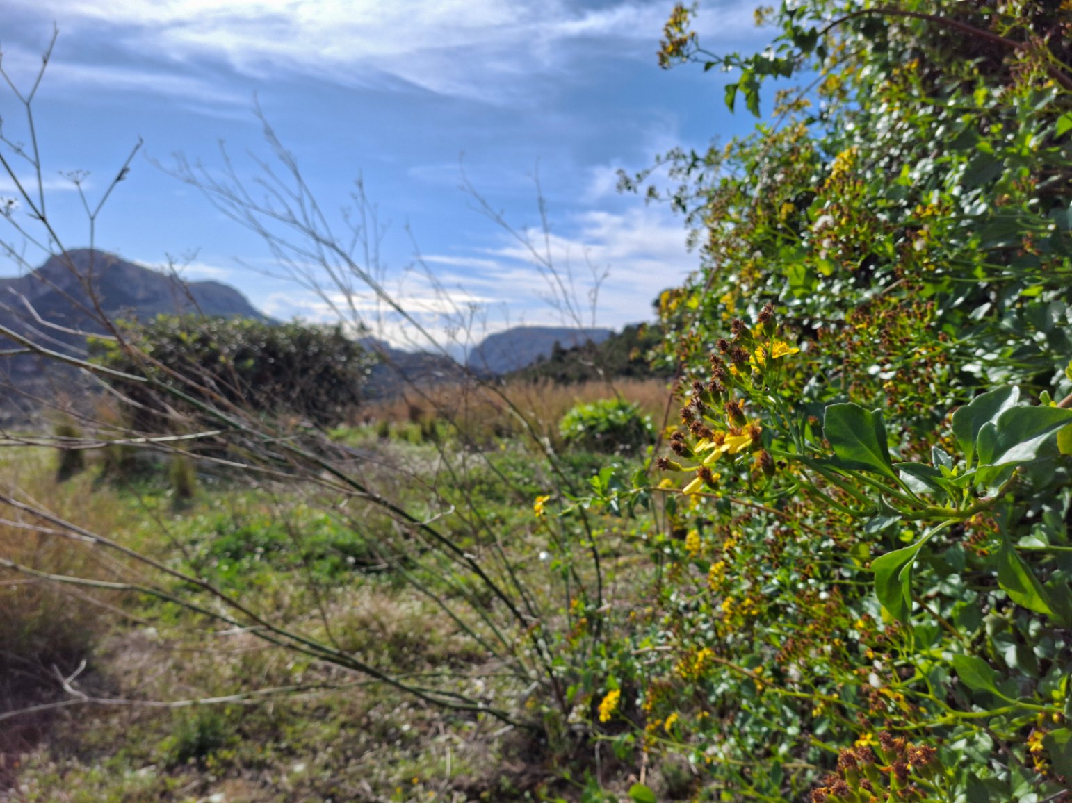 Finca Rústica Centenaria en Benissa