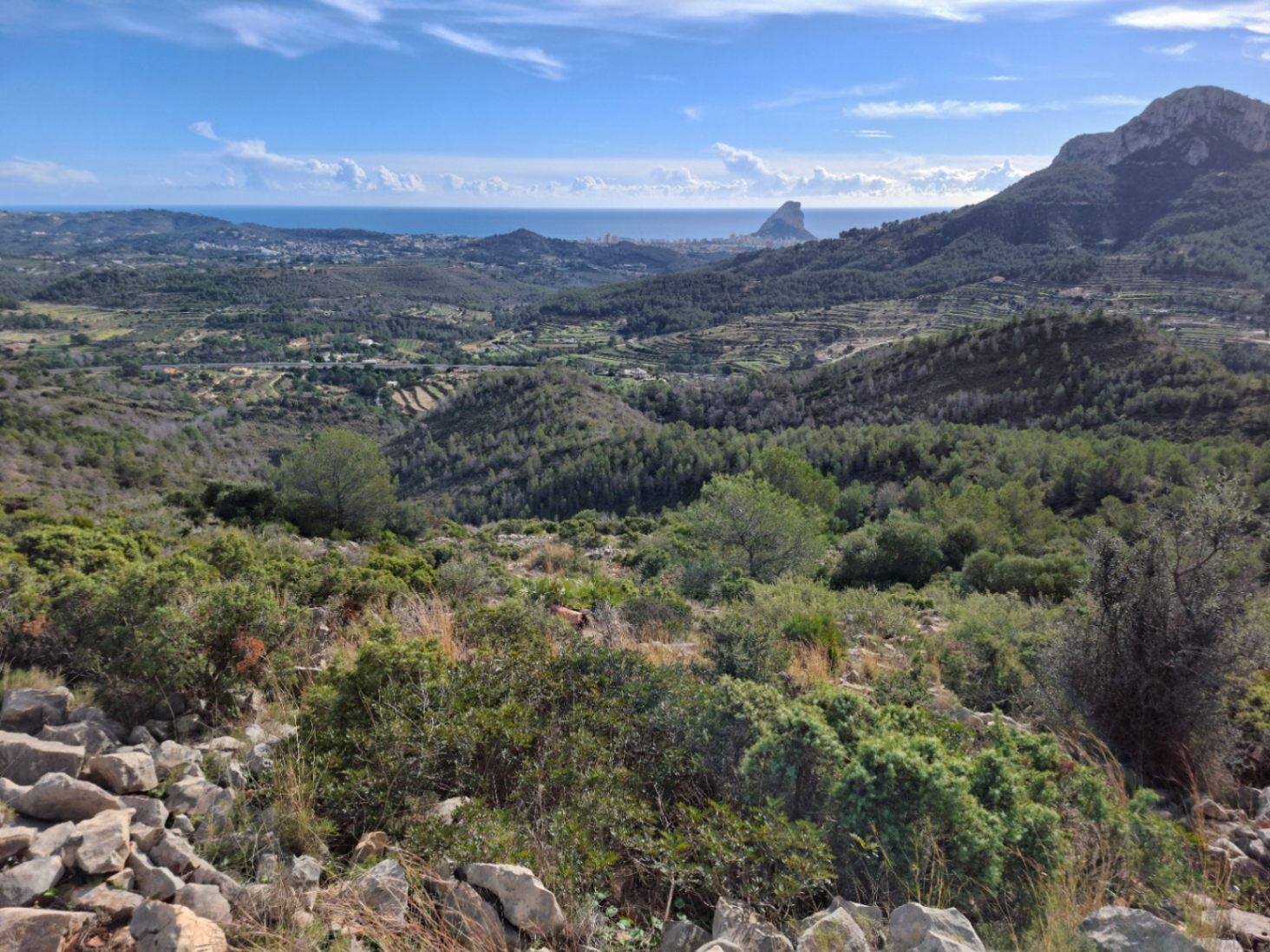 Finca Rústica Centenaria en Benissa