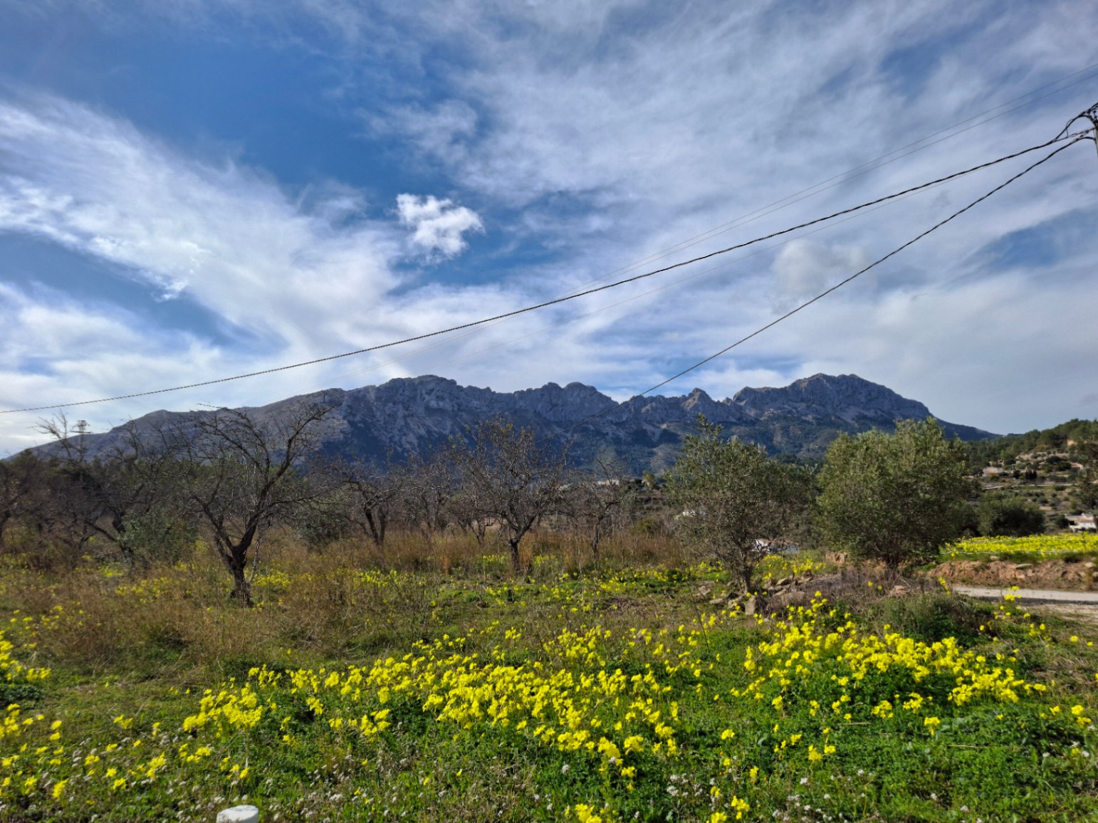 Finca Rústica Centenaria en Benissa