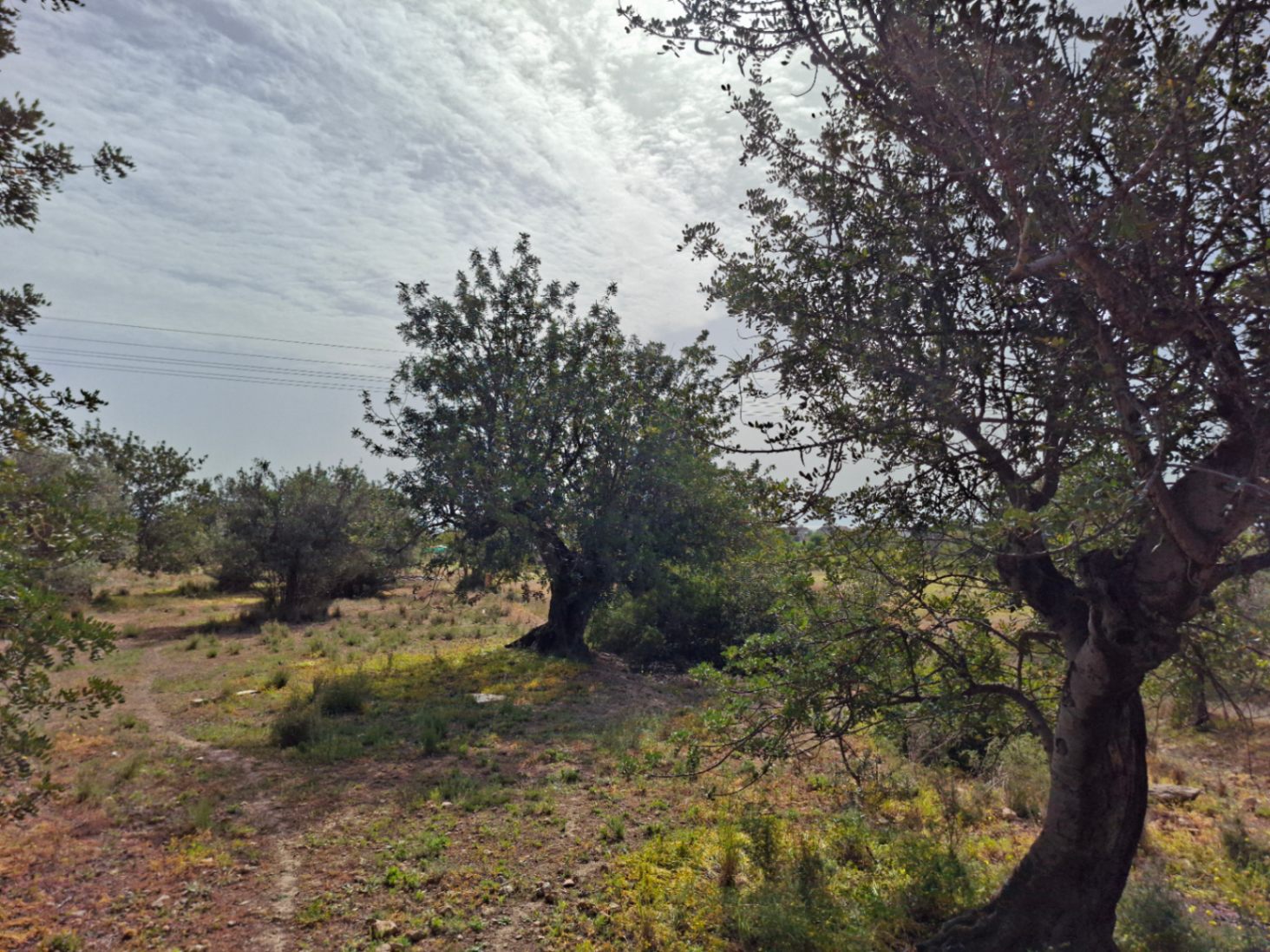 Parcela única en Altea