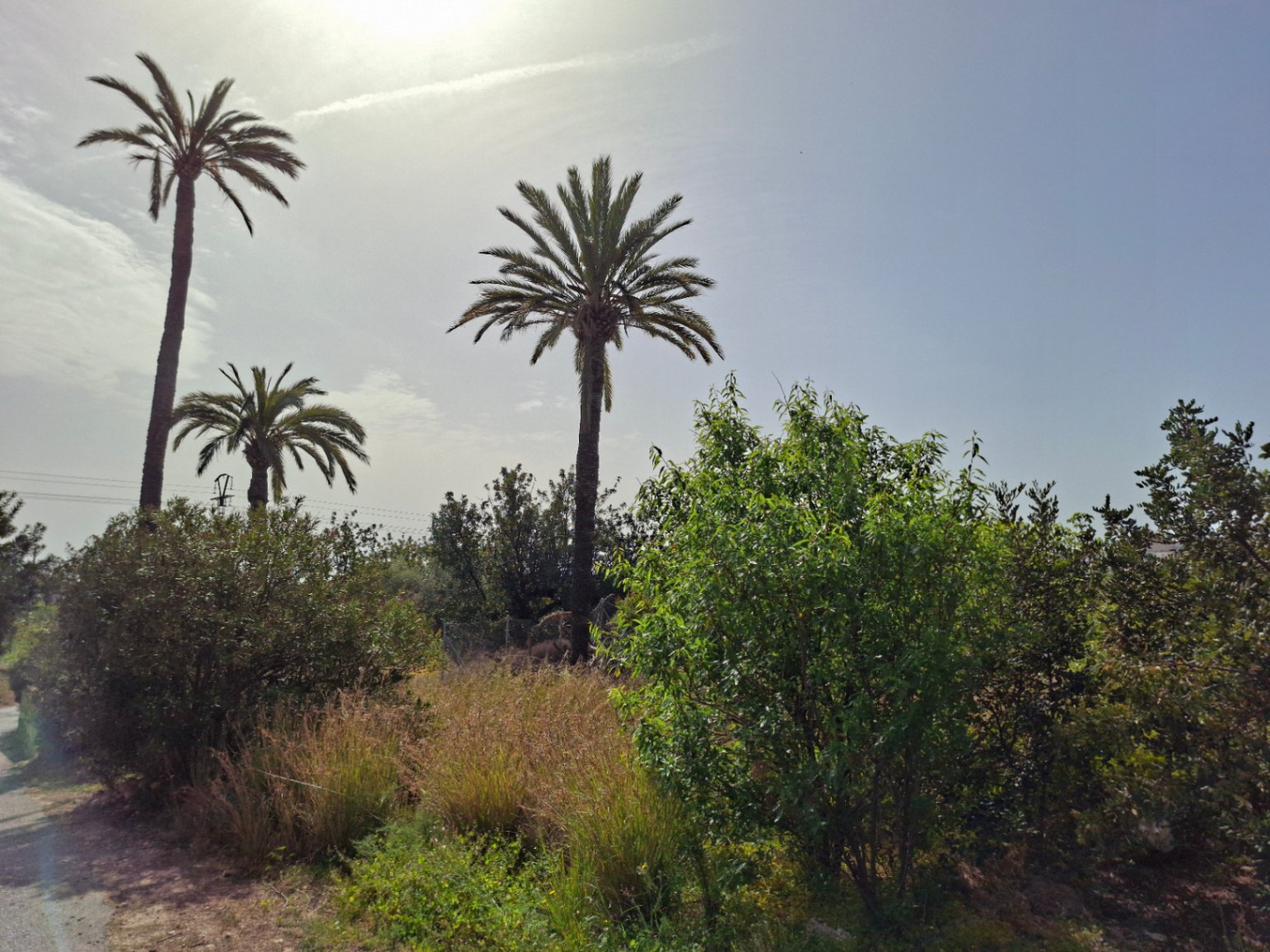 Parcela única en Altea