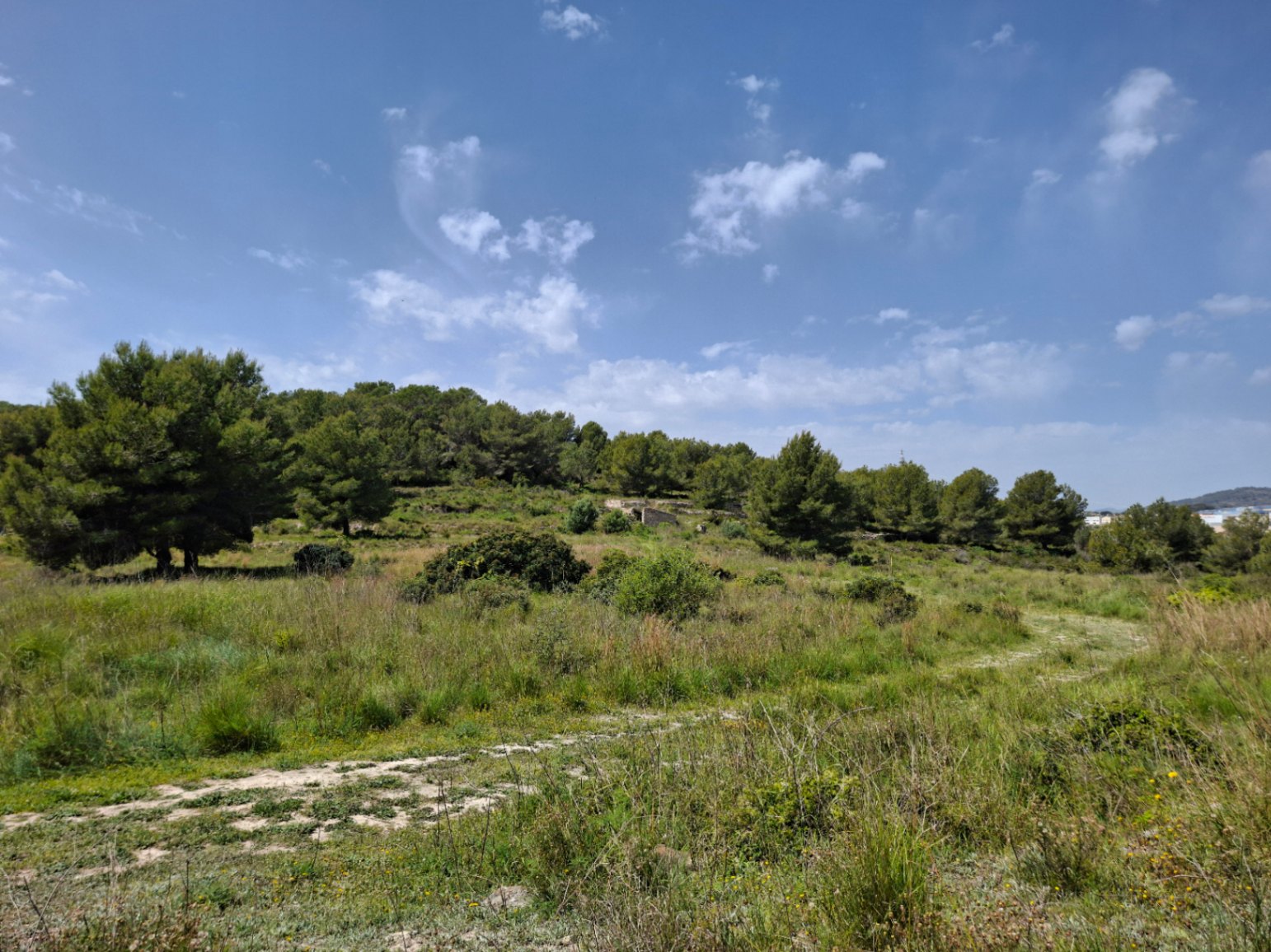 Parcela rústica de 93.000m²