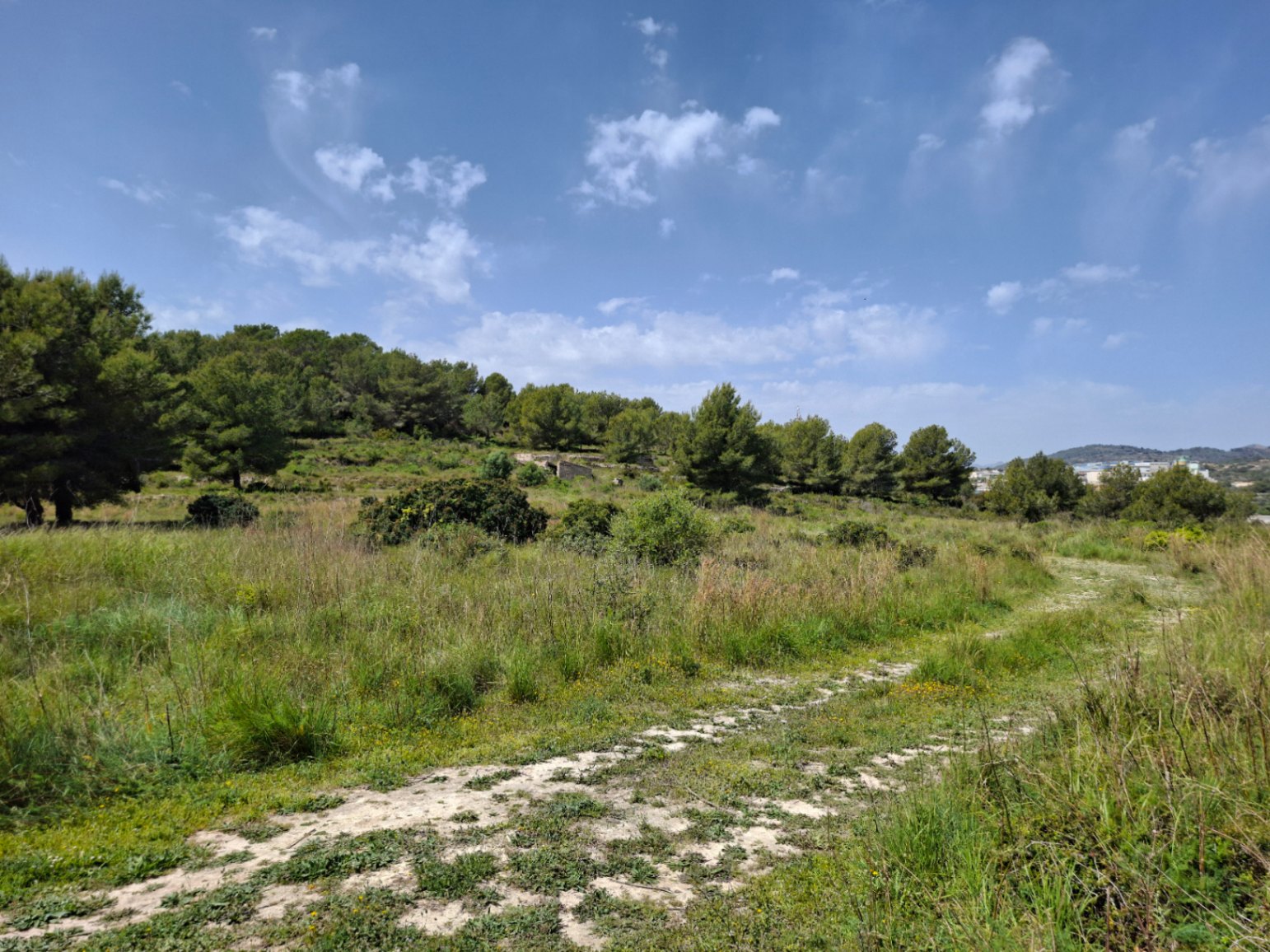Parcela rústica de 93.000m²