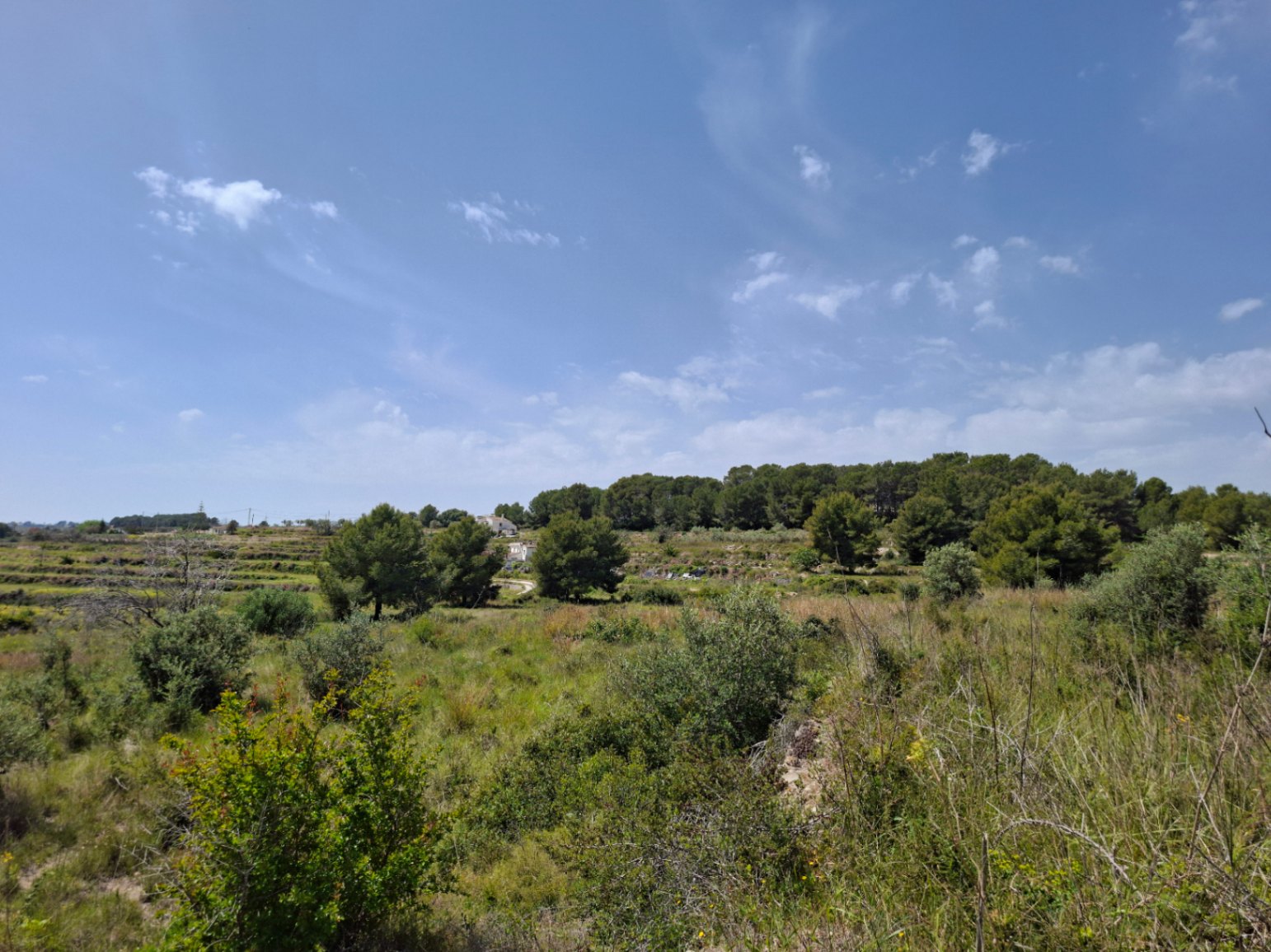 Parcela rústica de 93.000m²