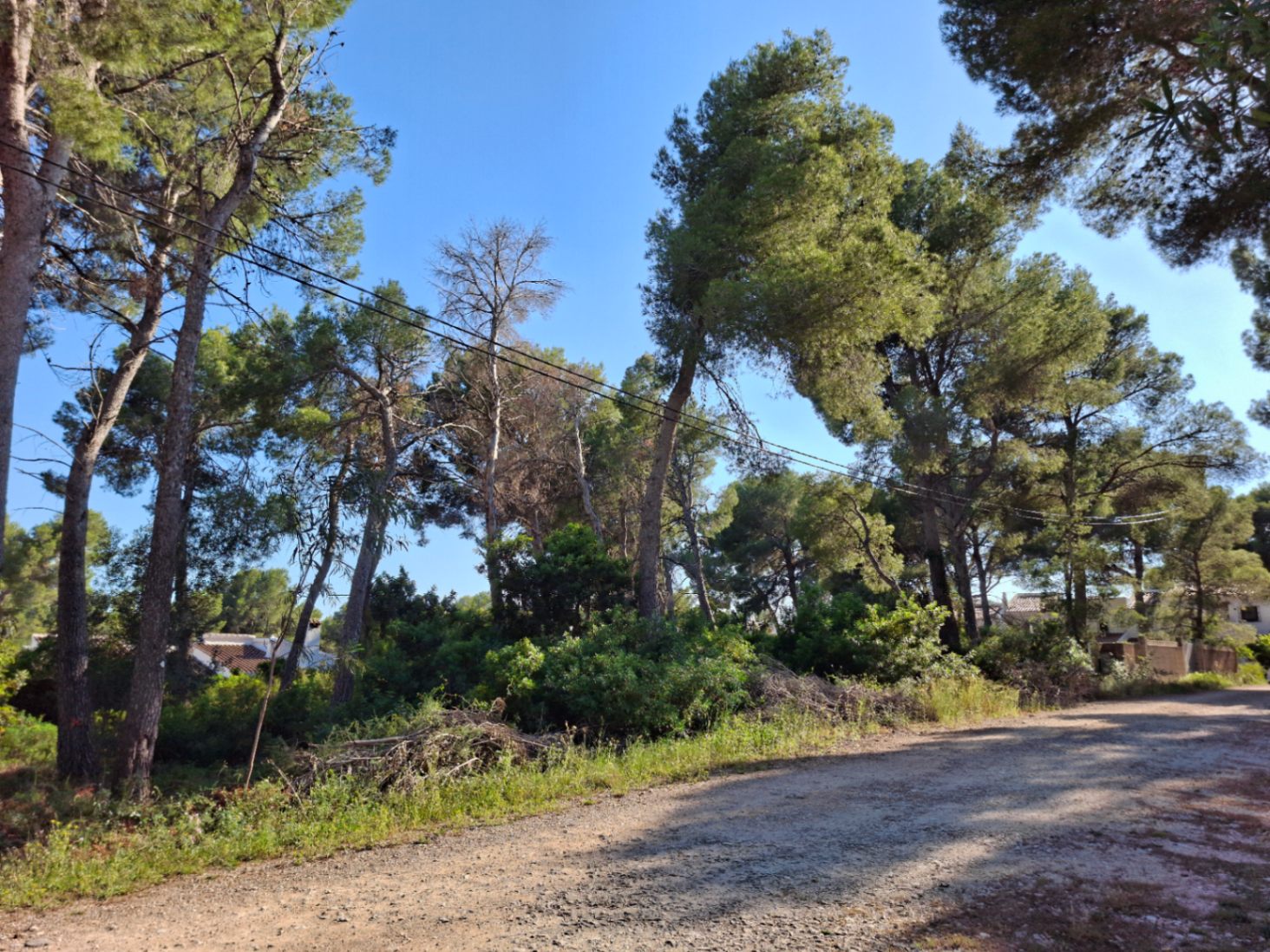 Parcela con licencia de obra concedida