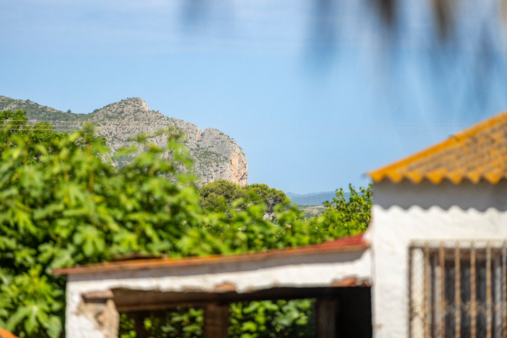 Tu vida española bajo el sol mediterráneo