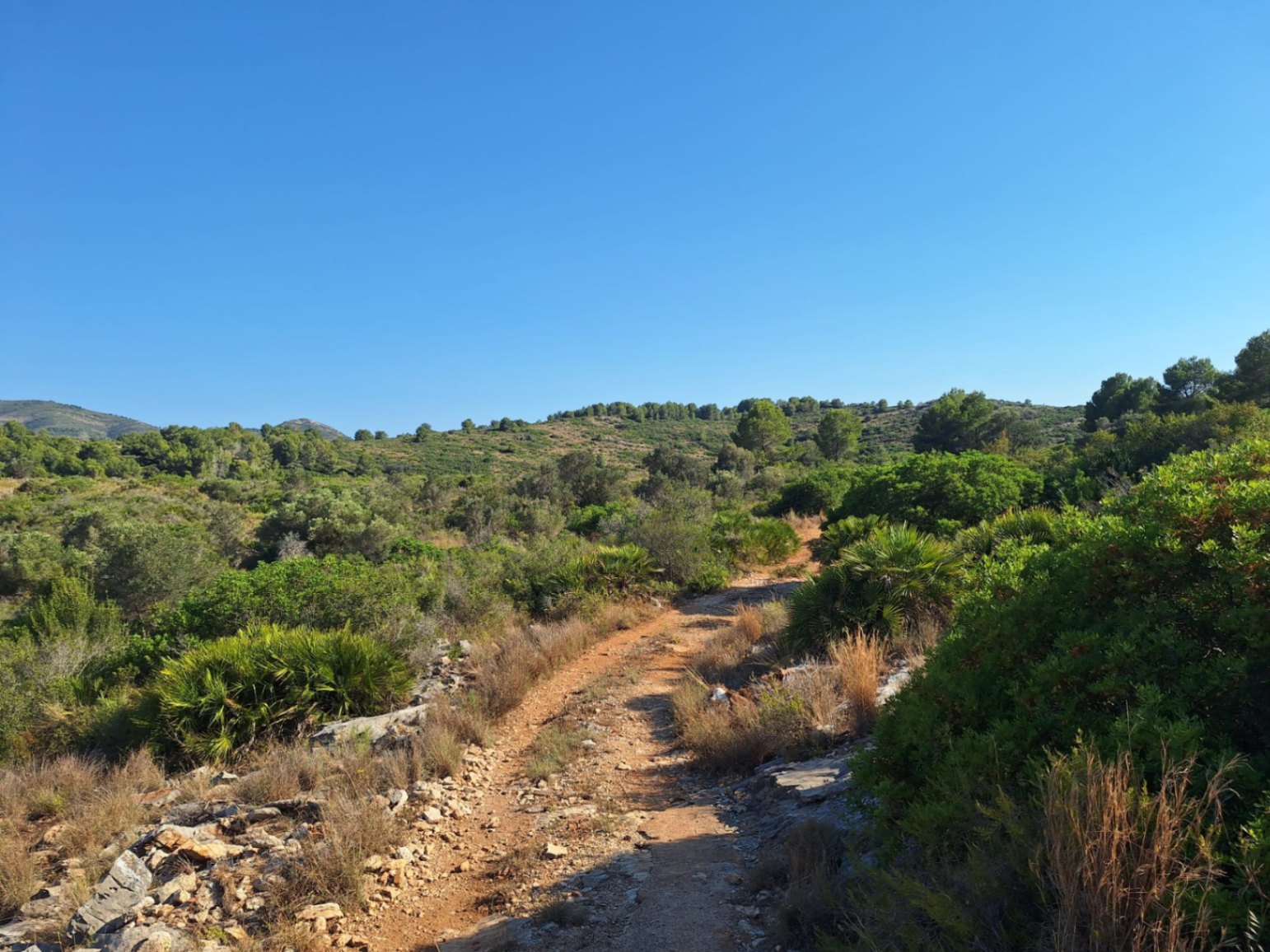Parcela rústica de 220.000 m² con enormes posibilidades