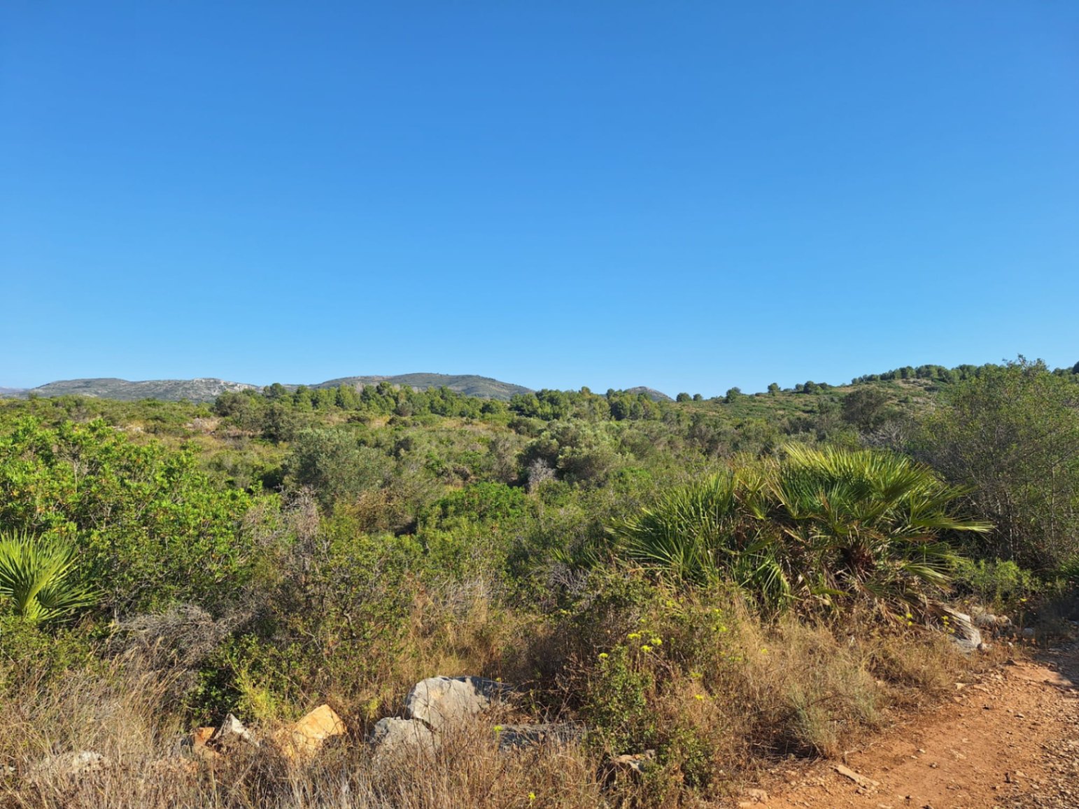 Parcela rústica de 220.000 m² con enormes posibilidades