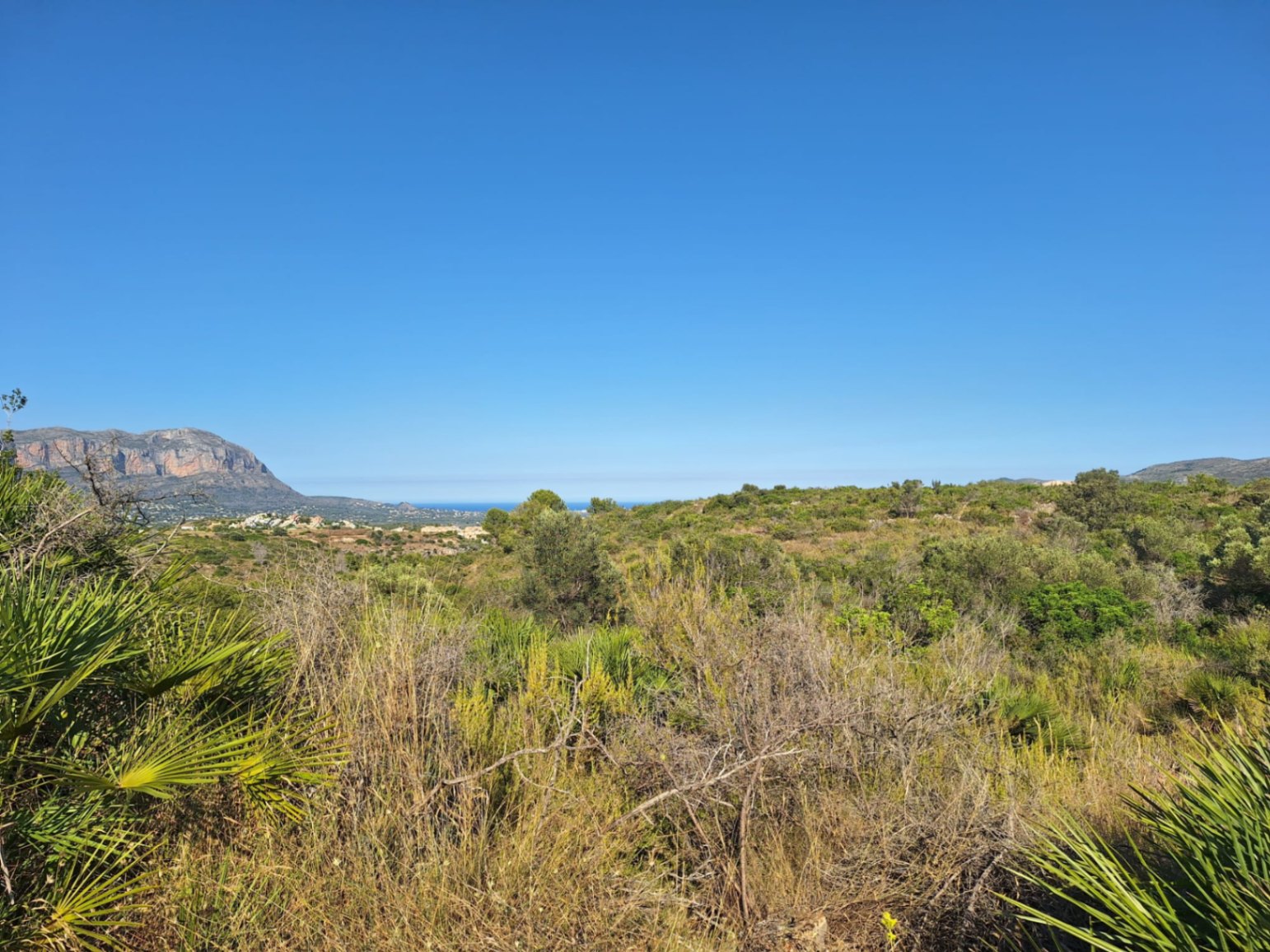Parcela rústica de 220.000 m² con enormes posibilidades