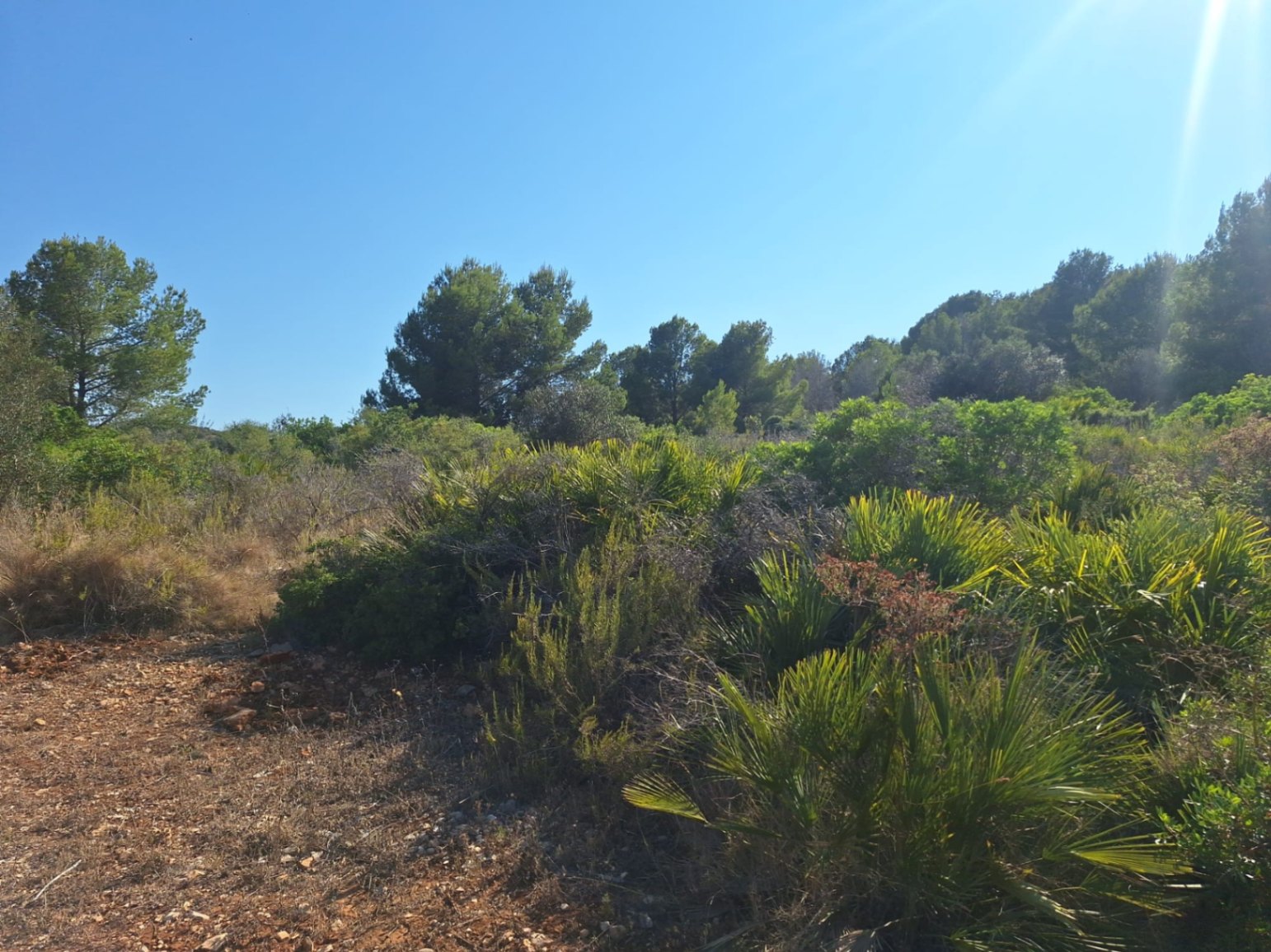 Parcela rústica de 220.000 m² con enormes posibilidades