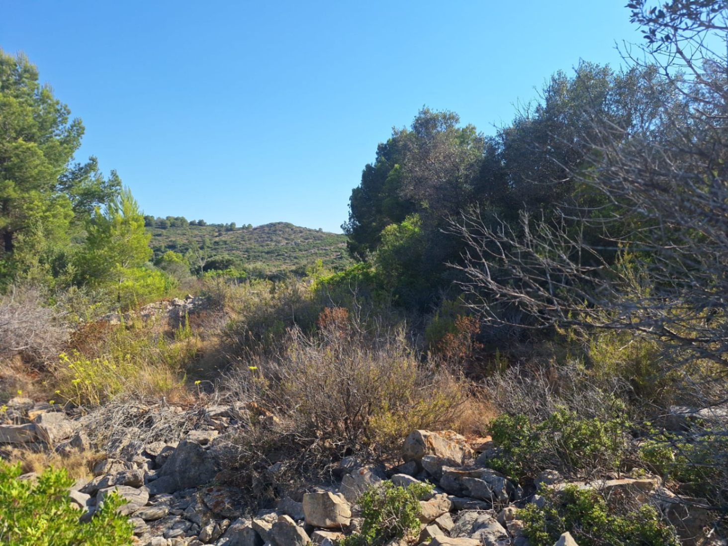 Parcela rústica de 220.000 m² con enormes posibilidades