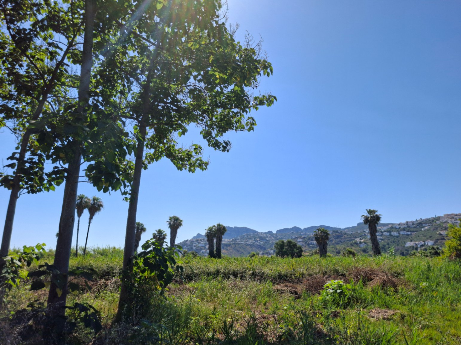 Finca rústica en Pego: naturaleza, sosiego y un huerto por descubrir